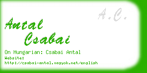 antal csabai business card